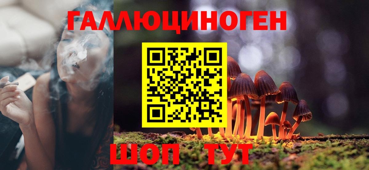 Псилоцибиновые грибы мухоморы  где продают   Ессентуки  Вход с VPN 